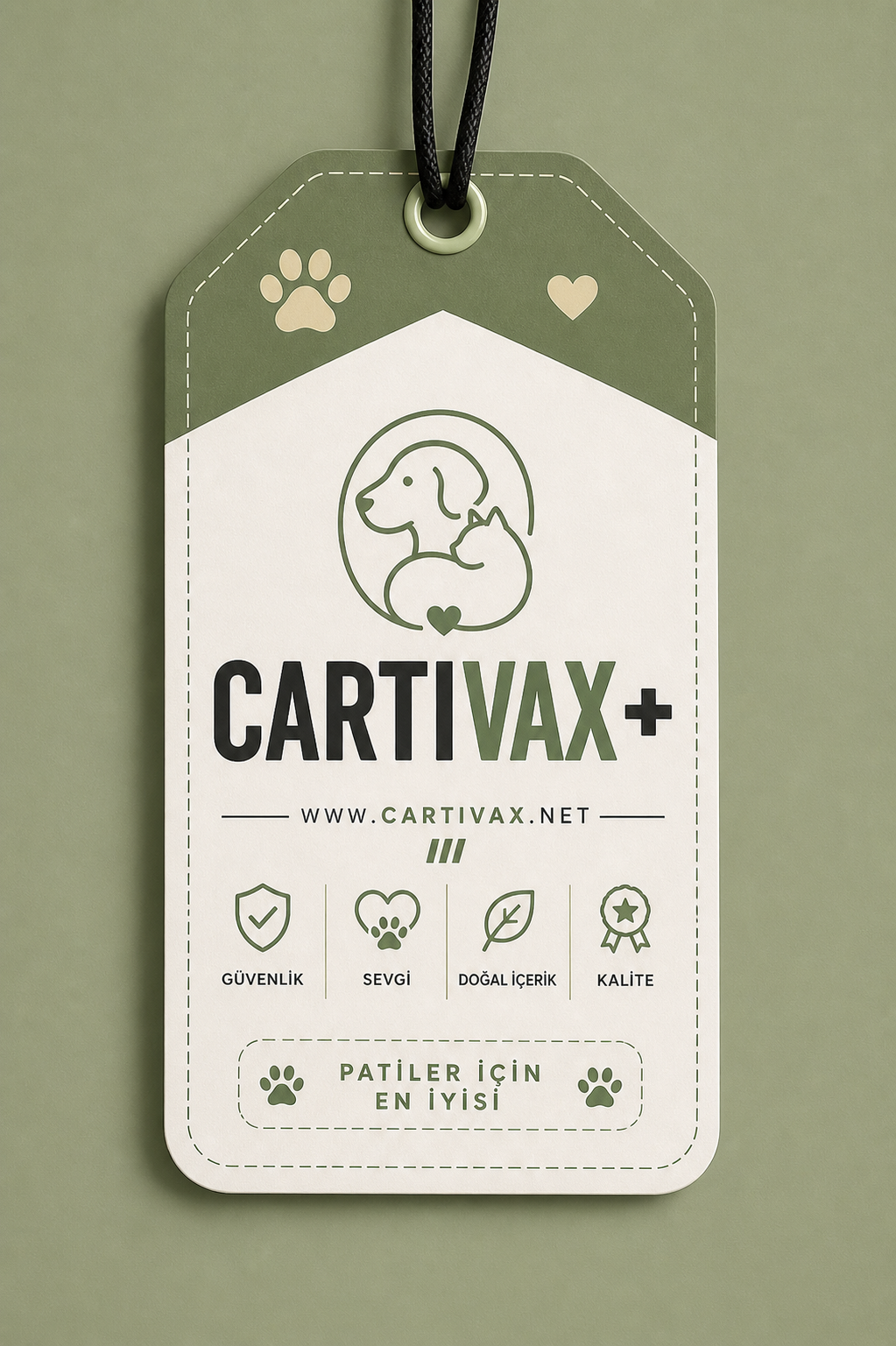 CartivaX